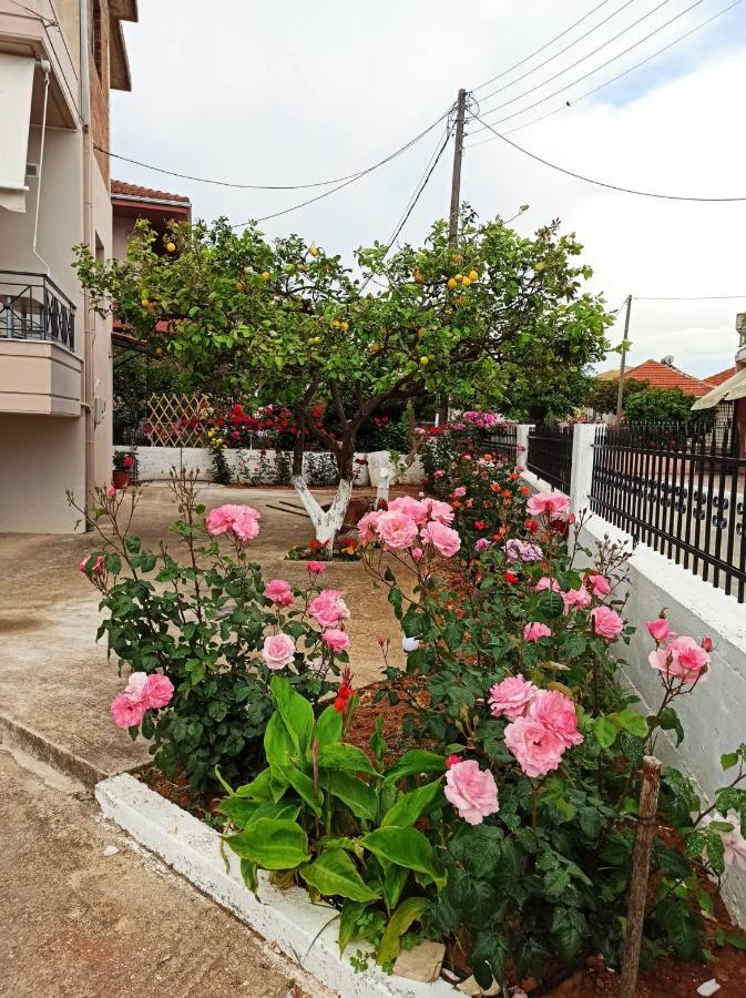 Agathi'S House Apartment Митикас Екстериор снимка